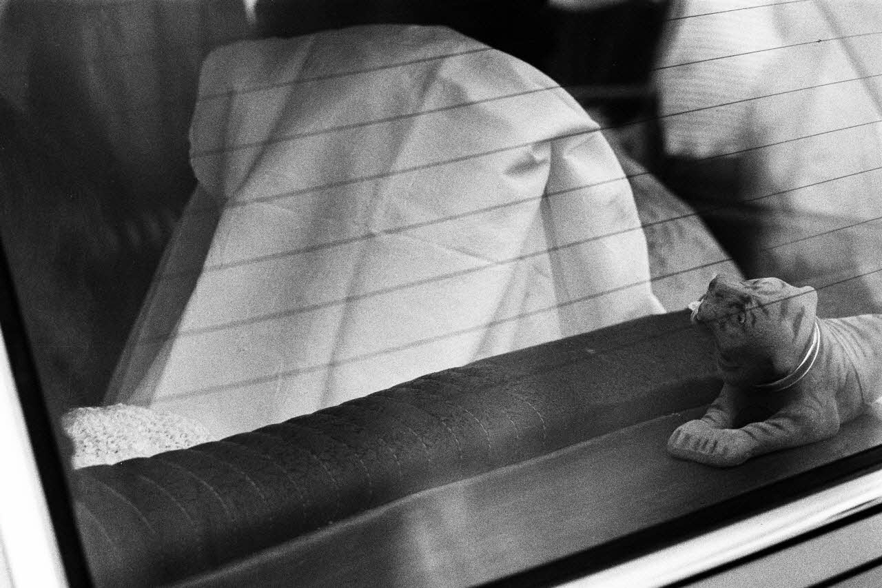 Alain Leloup tirage photographique Mariage Algérie 1979 2018.94.1.29 Photo Collection Mucem  Alain Leloup