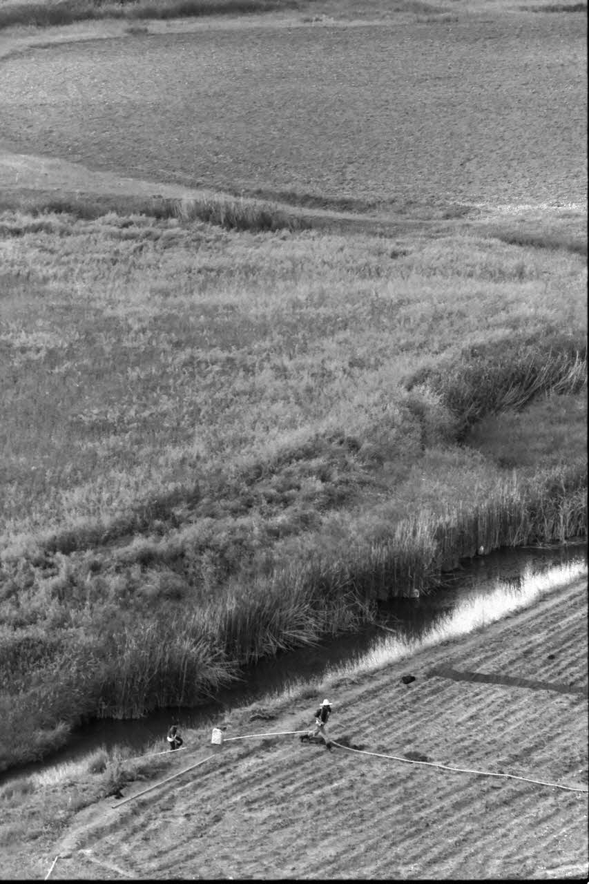 Alain Leloup tirage photographique Travail aux champs Algérie 1979 2018.94.1.48 Photo Collection Mucem  Alain Leloup