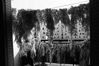 Alain Leloup tirage photographique Maison à Annaba Annaba, Algérie 1979 2018.94.1.82 Photo Collection Mucem  Alain Leloup