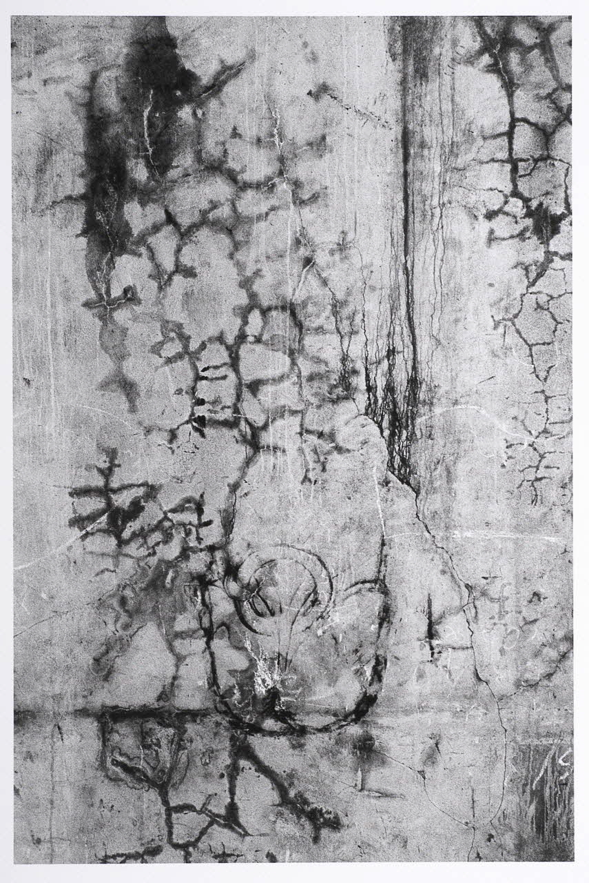 Gilles-Henri Polge photographie Fonds Polge Ile-de-France, France 2004/3/21 2004.89.66 Photo