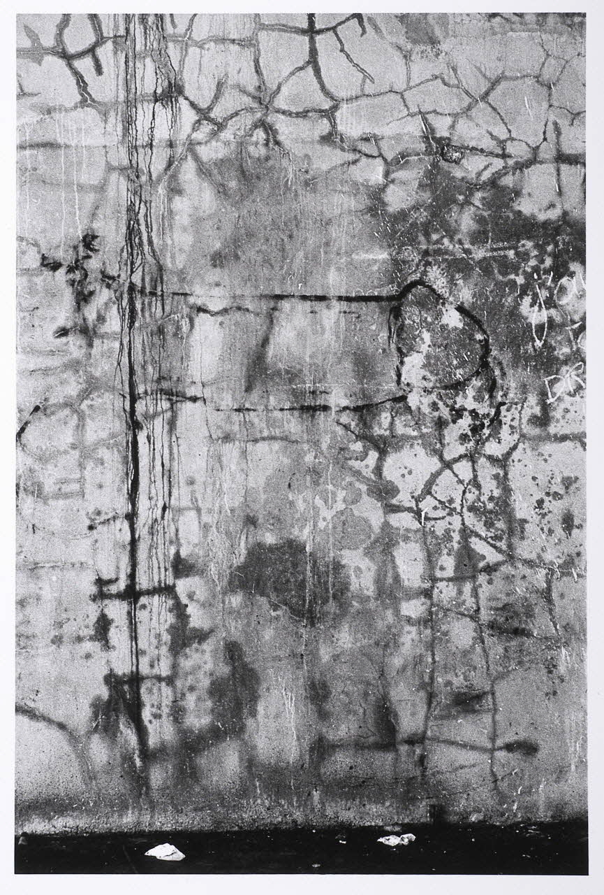 Gilles-Henri Polge photographie Fonds Polge Ile-de-France, France 2004/7/22 2004.89.68 Photo