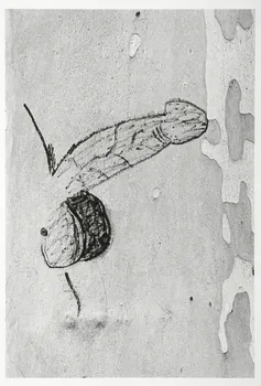 Gilles-Henri Polge photographie Fonds Polge Ile-de-France, France 1997/8/15 2004.89.8 Photo