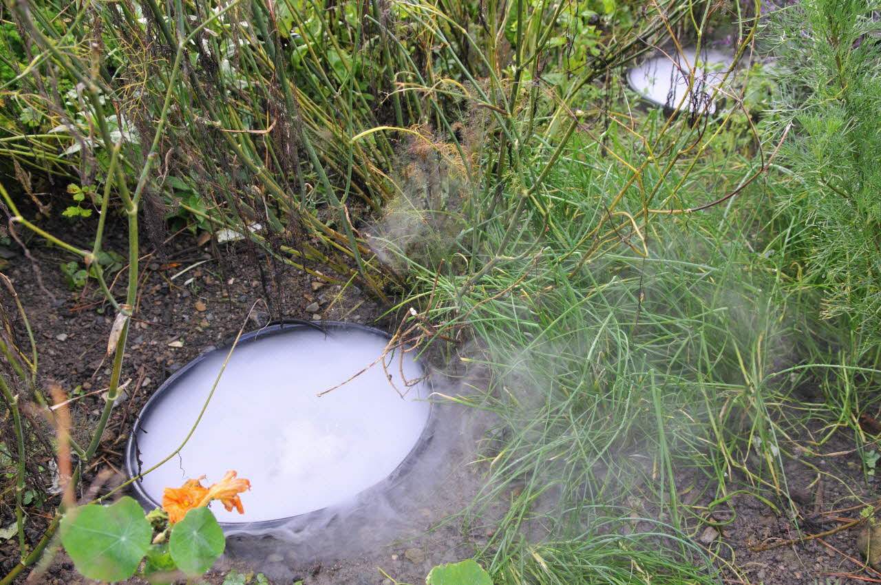 Christophe Fouin photographie Daoulas : abbaye. Exposition. Berbères : de rives en rêves (16 mai 2008 - 04 janvier 2009) Bretagne, France 2008/10/4 PHP.2008.2.145 Photo
