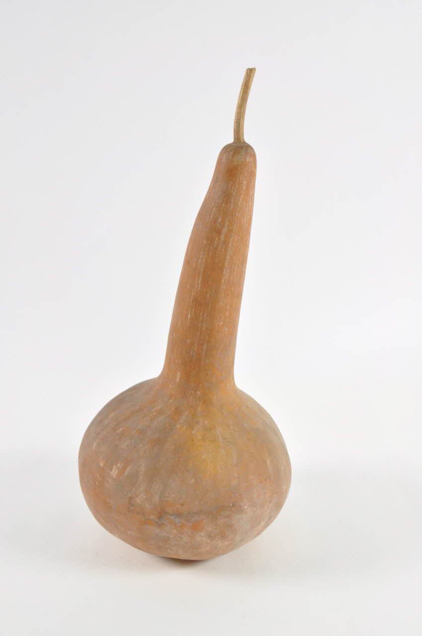 COURGE Couassa 1943.62.39 Photo Mucem