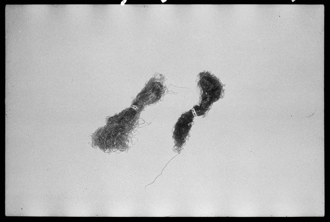 Alain Guey photographie Echeveau de soie Ile-de-France, France 1975/4/1 Ph.1975.12.259 Photo