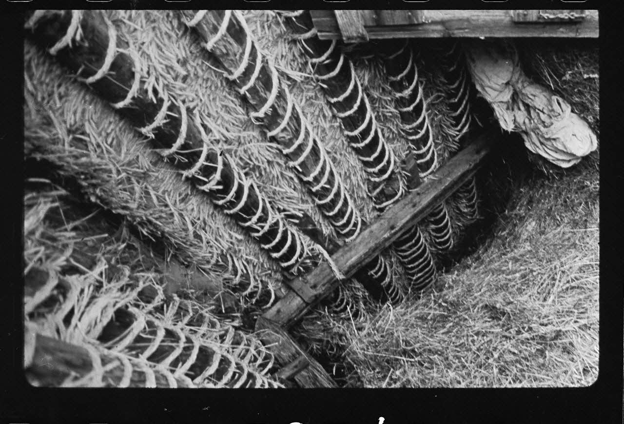 Michel Perréard photographie Intérieur de la toiture. Détail : lien des bottes de chaume Provence-Alpes-Côte d'Azur, France 1974 Ph.1975.58.94 Photo