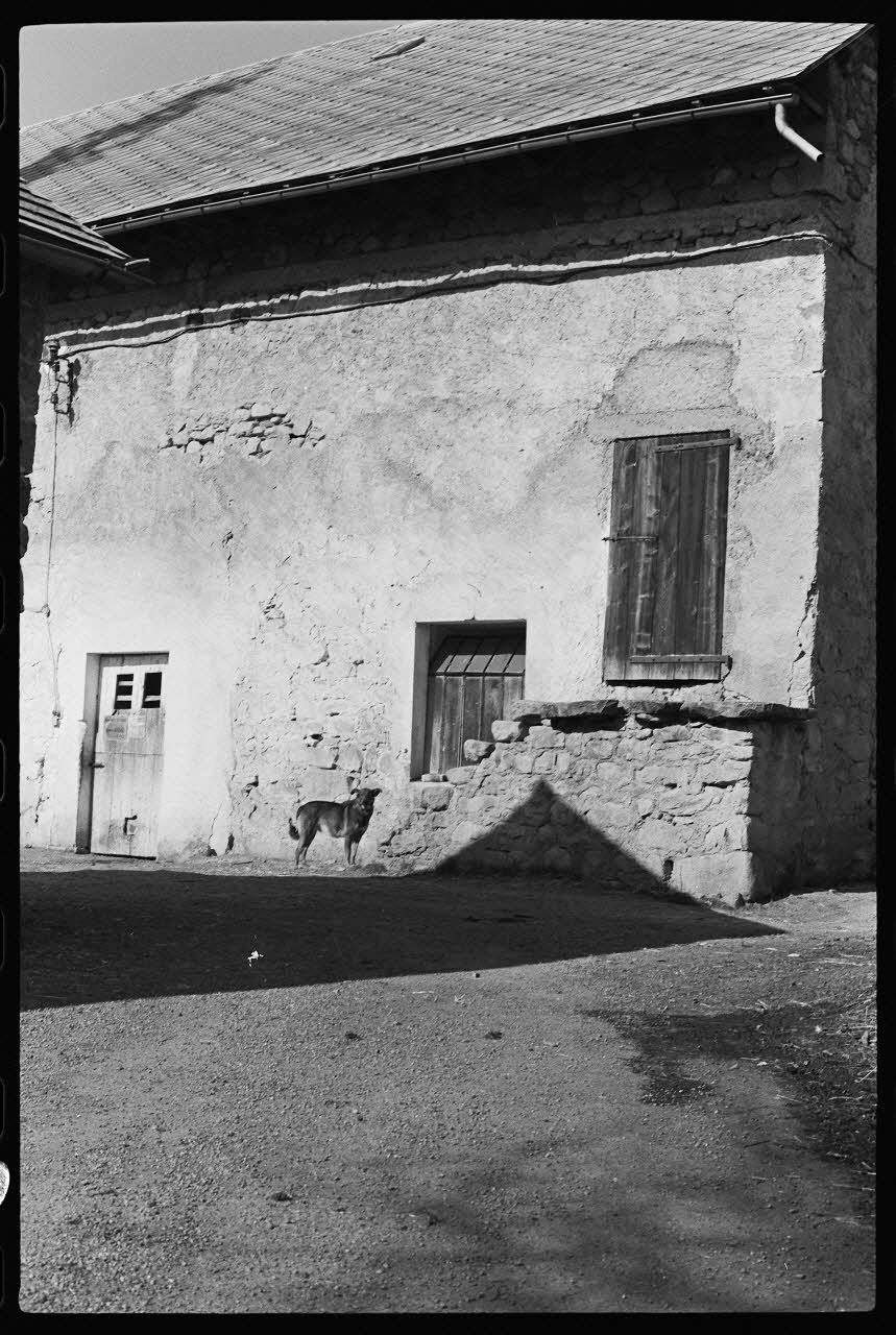 Patrick Loriano photographie Propriété de Monsieur Davin : maison d'habitation et d'exploitation Provence-Alpes-Côte d'Azur, France 1974/8/1 Ph.1975.59.1 Photo