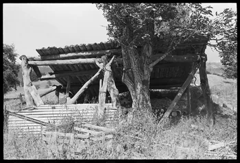 Jean-Marie Bertrand photographie Détail d'une remise située à côté de la bâtisse Provence-Alpes-Côte d'Azur, France 1974/7/1 Ph.1975.87.12 Photo