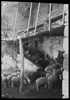 Jean-Marie Bertrand photographie Bergerie dite "Sousta" Provence-Alpes-Côte d'Azur, France 1974/7/1 Ph.1975.87.16 Photo
