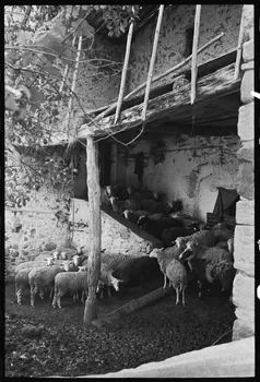 Jean-Marie Bertrand photographie Bergerie dite "Sousta" Provence-Alpes-Côte d'Azur, France 1974/7/1 Ph.1975.87.17 Photo