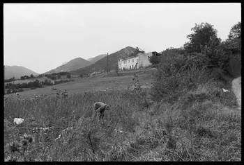 Jean-Marie Bertrand photographie Pré situé devant la bâtisse Provence-Alpes-Côte d'Azur, France 1974/7/1 Ph.1975.87.18 Photo