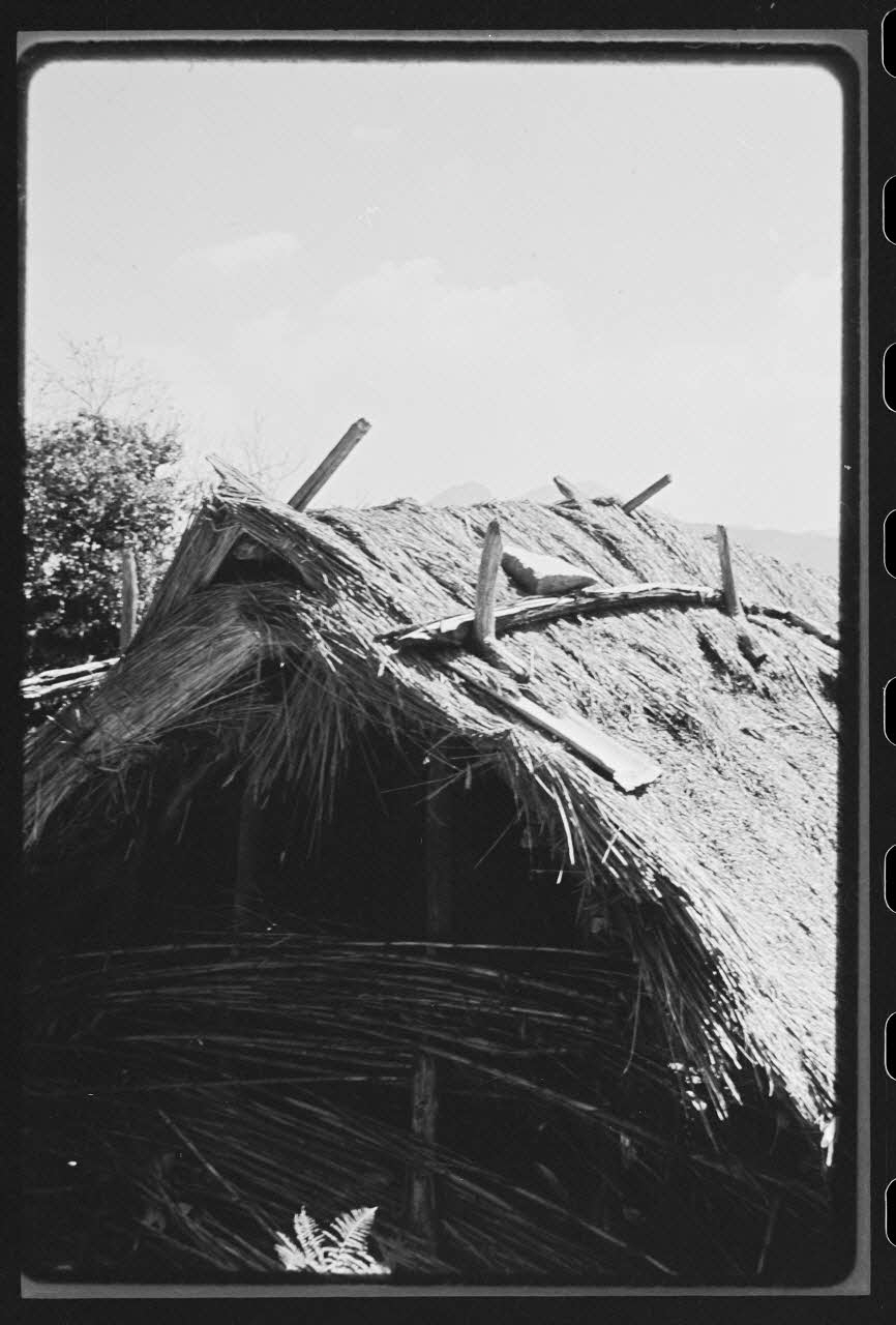 Jean-Marie Bertrand photographie Cabanon : détail de la toiture en chaume Provence-Alpes-Côte d'Azur, France 1974/7/1 Ph.1975.87.29 Photo