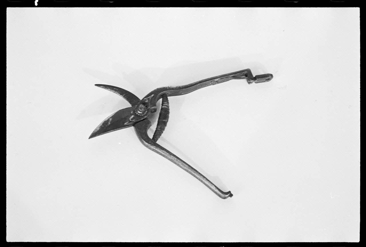 A. Chastanier photographie Sécateur Alsace, France 1976/5/1 Ph.1976.1.227 Photo