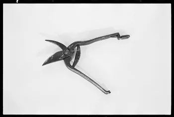 A. Chastanier photographie Sécateur Alsace, France 1976/5/1 Ph.1976.1.227 Photo