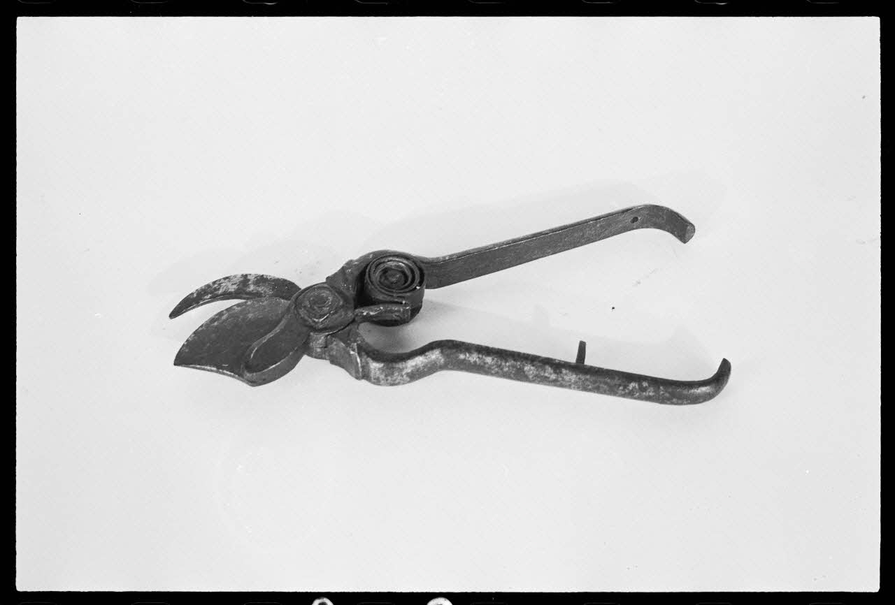 A. Chastanier photographie Sécateur Alsace, France 1976/5/1 Ph.1976.1.228 Photo