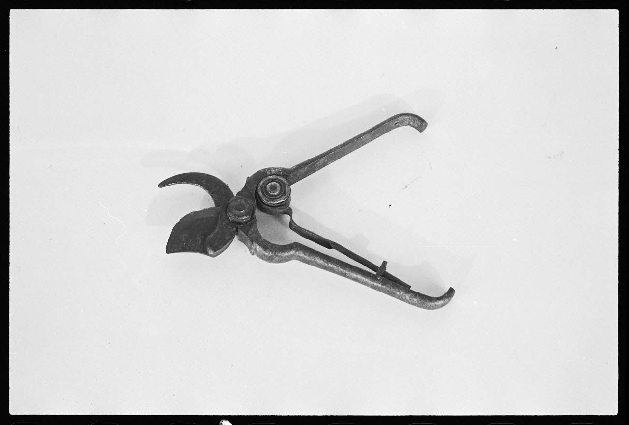 A. Chastanier photographie Sécateur Alsace, France 1976/5/1 Ph.1976.1.229 Photo