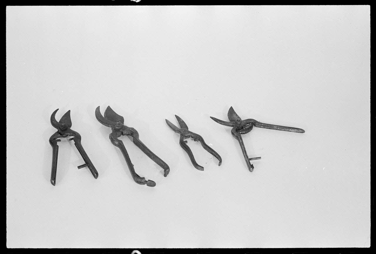 A. Chastanier photographie Sécateur Alsace, France 1976/5/1 Ph.1976.1.230 Photo