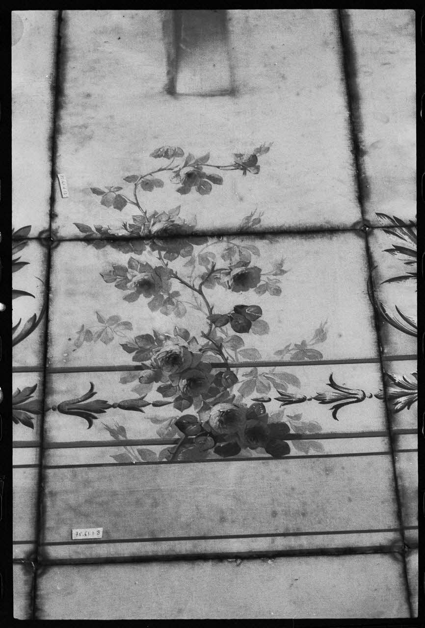 M. Harley photographie Ensemble. Plafond d'une boulangerie. Détail: décor floral Ile-de-France, France 1976/6/1 Ph.1976.1.649 Photo