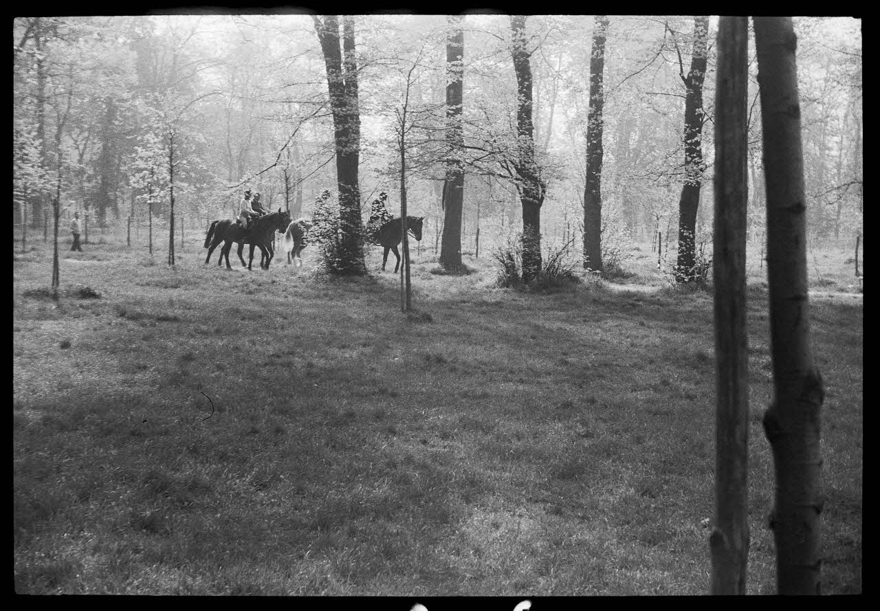 Denis Coutagne photographie Cavaliers se promenant dans le bois de Boulogne Ile-de-France, France 1975/4/28 Ph.1976.11.26 Photo