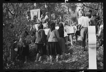 Jean Cuisenier photographie Enquête conduite par Jean Cuisenier en Roumanie (septembre 1975) Olténie, Roumanie 1975/9/1 Ph.1976.148.127 Photo