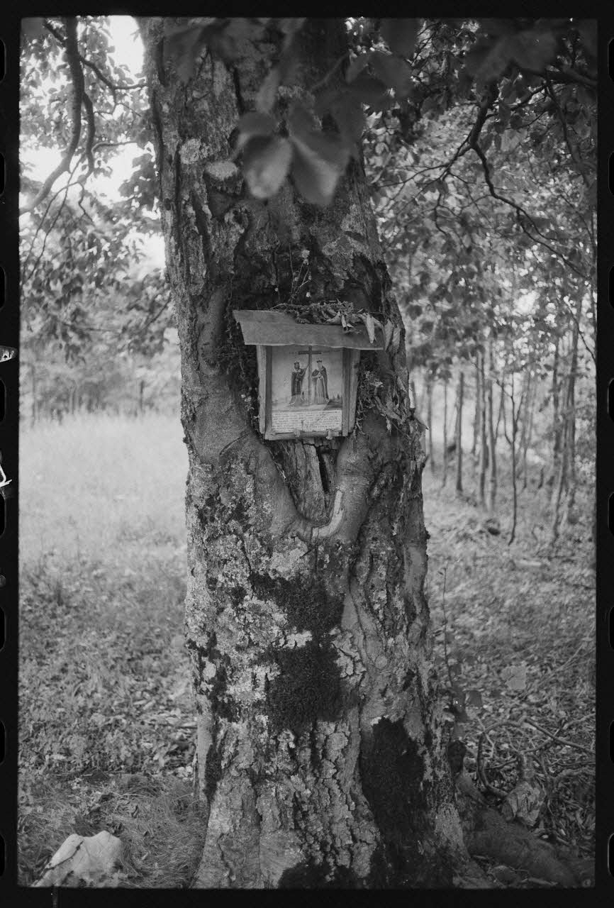 Jean Cuisenier photographie Enquête conduite par Jean Cuisenier en Roumanie (septembre 1975) Olténie, Roumanie 1975/9/1 Ph.1976.148.160 Photo