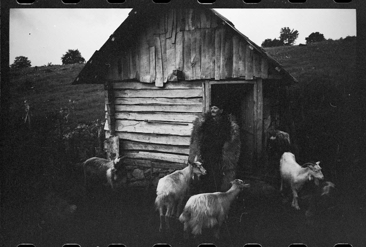 Jean Cuisenier photographie Enquête conduite par Jean Cuisenier en Roumanie (septembre 1975) Olténie, Roumanie 1975/9/1 Ph.1976.148.181 Photo