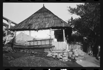 Jean Cuisenier photographie Enquête conduite par Jean Cuisenier en Roumanie (septembre 1975) Olténie, Roumanie 1975/9/1 Ph.1976.148.243 Photo