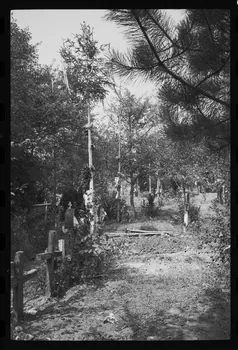 Jean Cuisenier photographie Enquête conduite par Jean Cuisenier en Roumanie (septembre 1975) Olténie, Roumanie 1975/9/1 Ph.1976.148.4 Photo