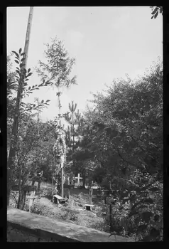 Jean Cuisenier photographie Enquête conduite par Jean Cuisenier en Roumanie (septembre 1975) Olténie, Roumanie 1975/9/1 Ph.1976.148.5 Photo