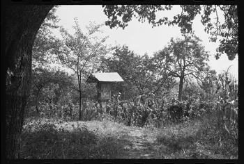 Jean Cuisenier photographie Enquête conduite par Jean Cuisenier en Roumanie (septembre 1975) Olténie, Roumanie 1975/9/1 Ph.1976.148.91  Photo