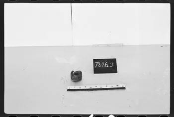 photographie Outillage spécialisé de cordonnerie Ph.1979.1.680 Photo