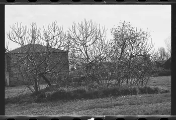 photographie MNATP. Chantier 1425. Enquête sur l'architecture rurale de la France (1968-1990) Ph.1979.301.378  Photo
