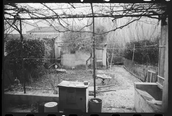 photographie Maison rurale de pêcheur Ph.1979.304.24 Photo