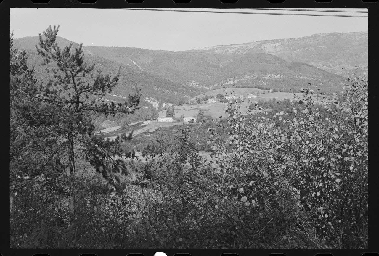 photographie Exploitations agricoles en site rural, de Collongues à Briançonnet Ph.1979.308.3 Photo