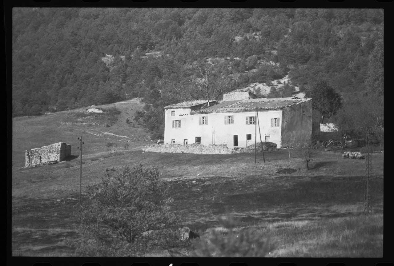 photographie Exploitations agricoles en site rural, de Collongues à Briançonnet Ph.1979.308.4 Photo