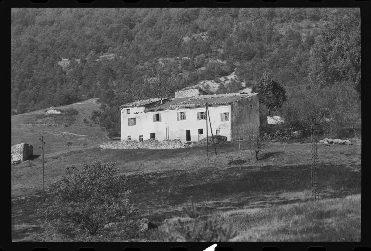 photographie Exploitation agricole Ph.1979.308.5 Photo