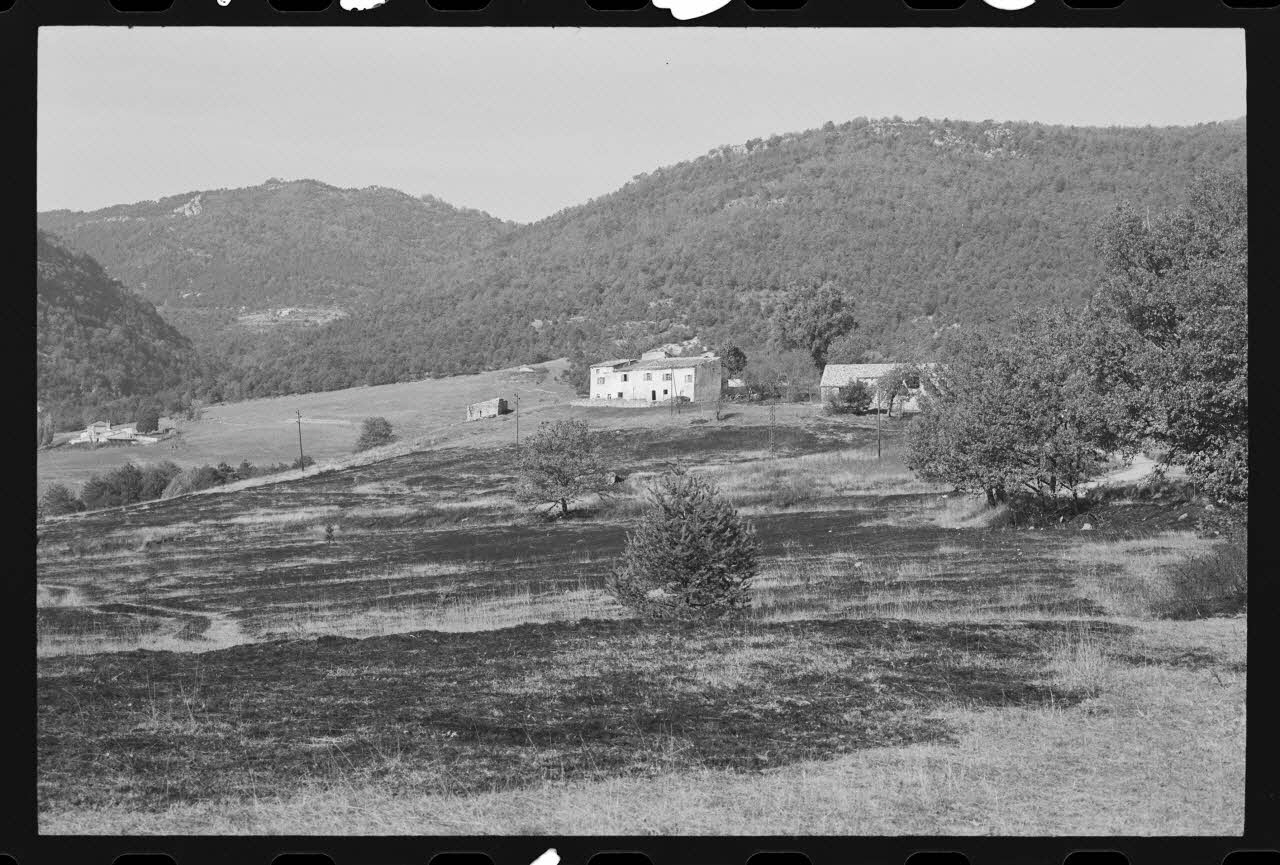 photographie Exploitation agricole Ph.1979.308.6 Photo