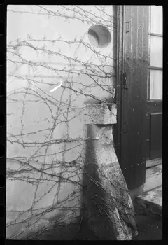 photographie MNATP. Chantier 1425. Enquête sur l'architecture rurale de la France (1968-1990) Ph.1979.312.53  Photo