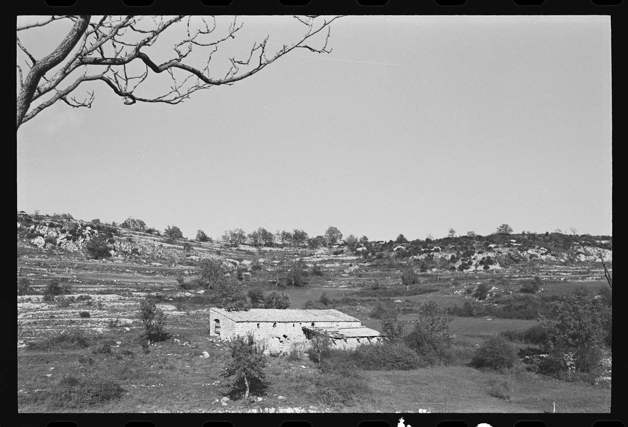 photographie Bergerie isolée Ph.1979.333.143 Photo