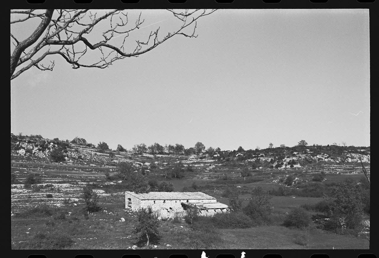 photographie Bergerie isolée Ph.1979.333.144 Photo