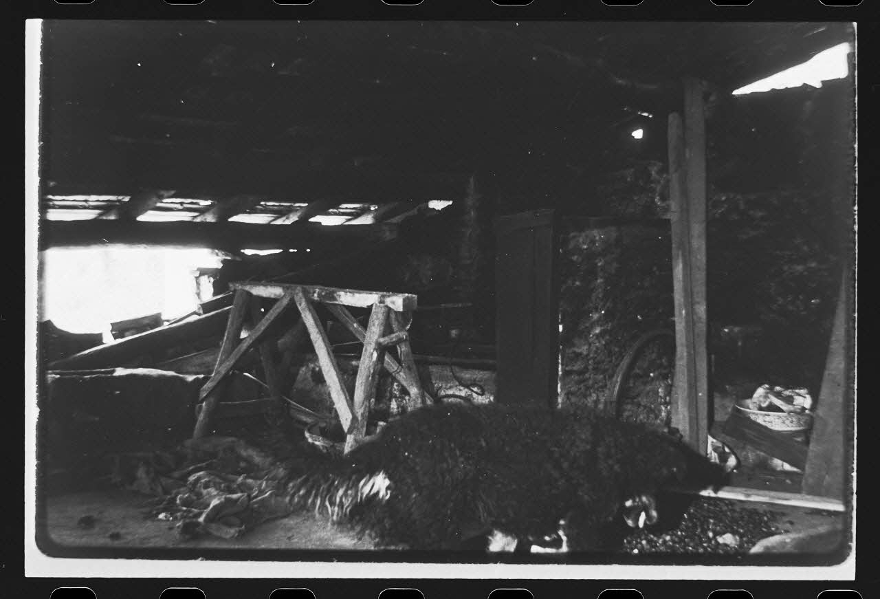 photographie Exploitation agricole : ferme isolée. Détail : cloison sur colombages Ph.1979.333.32 Photo