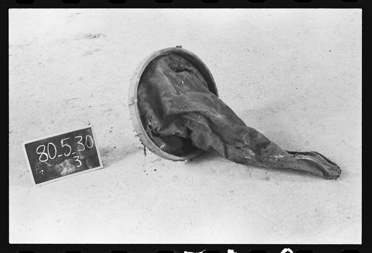 photographie Outillage agricole : filtre Ph.1980.1.546 Photo