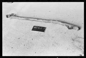 photographie Outillage agricole : palonnier Ph.1980.1.588 Photo