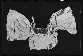 photographie Guimpe en toile et dentelle Ph.1980.1.850 Photo