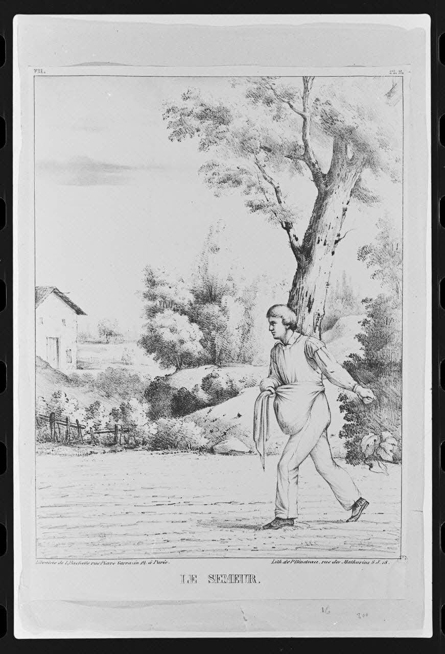 photographie Estampe représentant des semailles. "Le semeur". Lithographie noir et blanc. de P. Bineteau Ph.1980.2.11 Photo