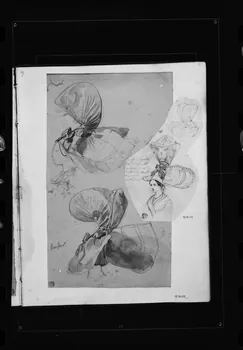 photographie Dessin rehaussé de couleurs, représentant une coiffe. Par François Lalaisse Ph.1980.2.246 Photo