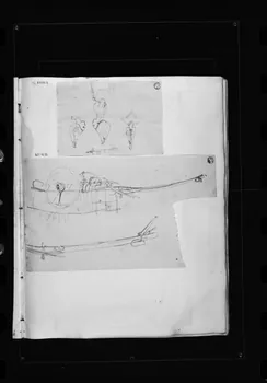 photographie Dessin rehaussé de couleurs, représentant une coiffe. Par François Lalaisse Ph.1980.2.247 Photo