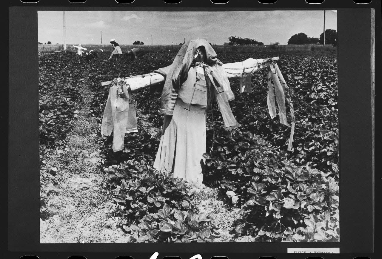 R. Dausset photographie Epouvantail pour la lutte contre les parasites Centre, France 1972 Ph.1980.28.12 Photo