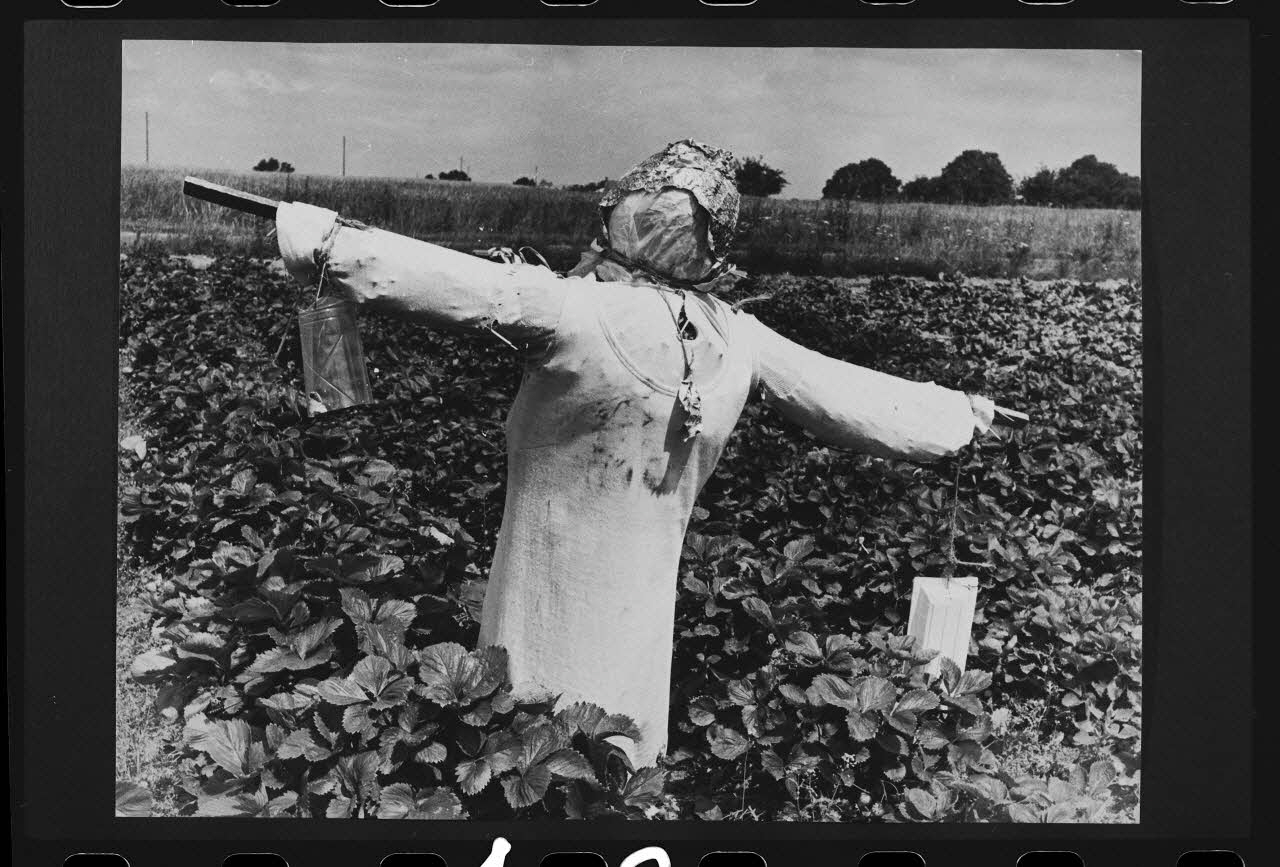 R. Dausset photographie Epouvantail pour la lutte contre les parasites Centre, France 1972 Ph.1980.28.13 Photo