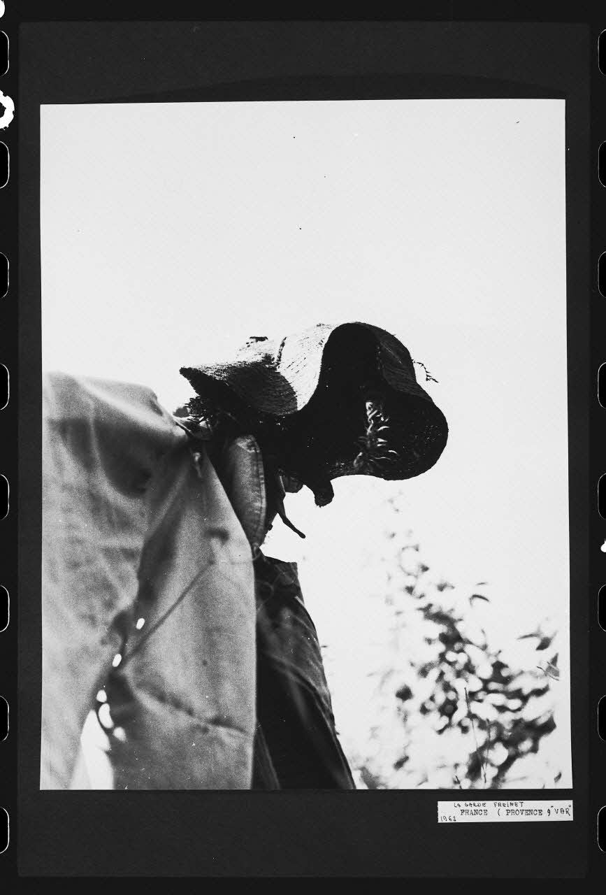 R. Dausset photographie Epouvantail pour la lutte contre les parasites Provence-Alpes-Côte d'Azur, France 1962 Ph.1980.28.15 Photo